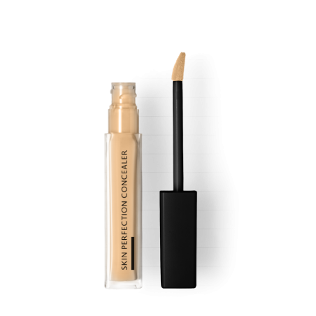 Skin Perfection Concealer